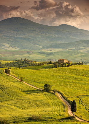 Tuscan hills :: My Italian Treasures & Elizabeth Namack, tour operator